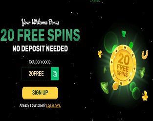 20 Free Spins